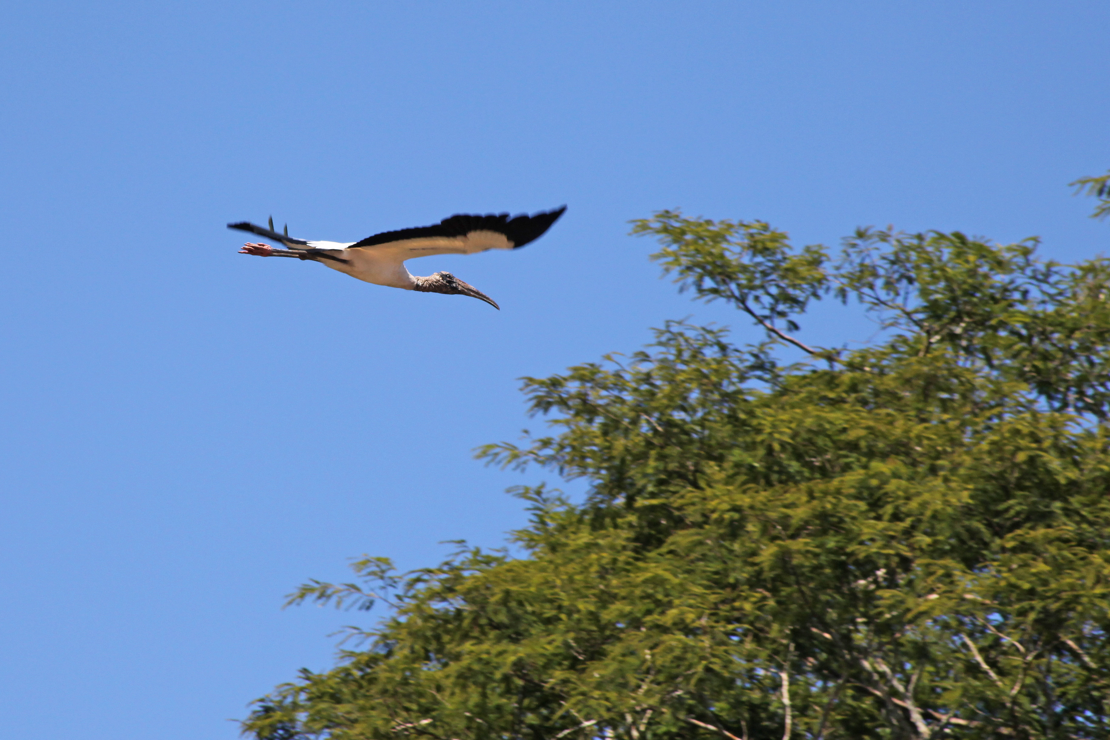 Drone profissional em voo